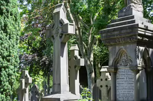 A LANDSCAPE ADORNED BY LARGE CELTIC CROSSES [GLASNEVIN CEMETERY MONDAY 7 JULY 2025]-253616-1