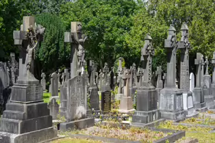 A LANDSCAPE ADORNED BY LARGE CELTIC CROSSES [GLASNEVIN CEMETERY MONDAY 7 JULY 2025]-253619-1