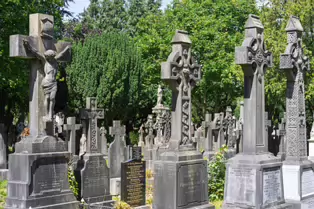 A LANDSCAPE ADORNED BY LARGE CELTIC CROSSES [GLASNEVIN CEMETERY MONDAY 7 JULY 2025]-253621-1