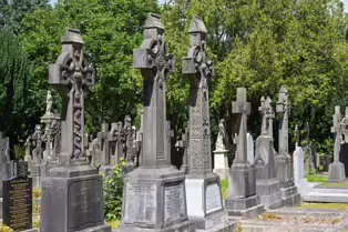 A LANDSCAPE ADORNED BY LARGE CELTIC CROSSES [GLASNEVIN CEMETERY MONDAY 7 JULY 2025]-253622-1