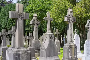 A LANDSCAPE ADORNED BY LARGE CELTIC CROSSES [GLASNEVIN CEMETERY MONDAY 7 JULY 2025]-253623-1