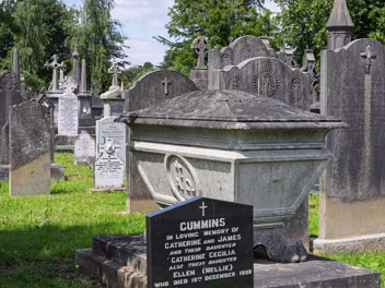 EXAMPLES OF SARCOPHAGI The stone casket-shaped graves that I photographed during a recent visit to Glasnevin Cemetery are known as sarcophagi...