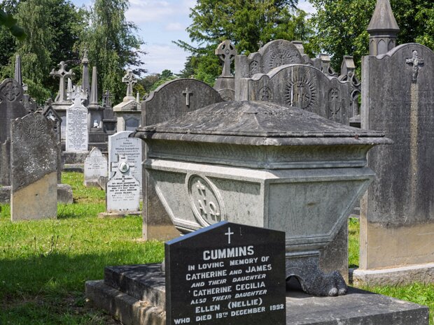 EXAMPLES OF SARCOPHAGI The stone casket-shaped graves that I photographed during a recent visit to Glasnevin Cemetery are known as sarcophagi...