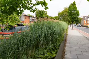 CANAL BOATS OR BARGES ON THE GRAND CANAL [PORTOBELLO AREA OF DUBLIN]-253588-1
