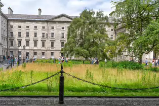 THE CAMPANILE AND PARLIAMENT SQUARE [TRINITY COLLEGE IN DUBLIN 2025]-253341-1