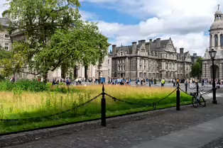 THE CAMPANILE AND PARLIAMENT SQUARE [TRINITY COLLEGE IN DUBLIN 2025]-253342-1