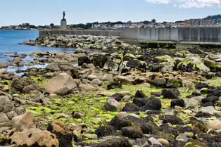 THE ROGER CASEMENT SCULPTURE [AT DUN LAOGHAIRE BATHS]-253462-1