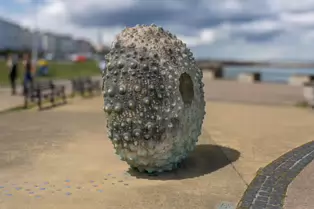 MOTHERSHIP HAS BECOME A DUN LAOGHAIRE ICON [SCULPTURE OF A SEA URCHIN BY RACHEL JOYNT]-253506-1