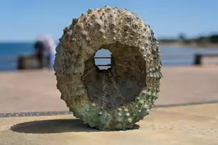MOTHERSHIP HAS BECOME A DUN LAOGHAIRE ICON [SCULPTURE OF A SEA URCHIN BY RACHEL JOYNT]-253508-1