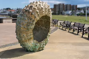 MOTHERSHIP HAS BECOME A DUN LAOGHAIRE ICON [SCULPTURE OF A SEA URCHIN BY RACHEL JOYNT]-253509-1