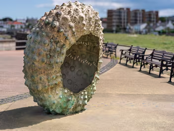 MOTHERSHIP BY RACHEL JOYNT Beyond its artistic merit, Mothership carries significant symbolism. The sea urchin itself serves as a powerful...