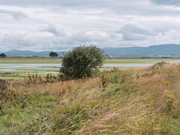 FIRST TIME TO USE THE SONY A1 II Today, I embarked on a photographic outing, eager to test my new Sony A1 II combined with the FE 28-70mm F2 lens. My...