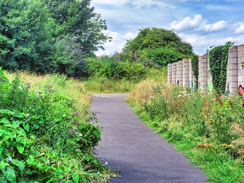TheNewWildParkNearTheCabraTramStop