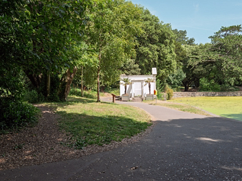 THE POND AND FOLLIES