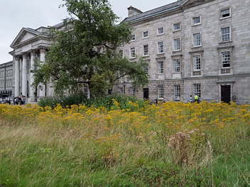 TRINITY COLLEGE 27 JULY 2026
