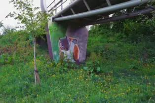 THE LOCK AND PEDESTRIAN BRIDGE AT STRANMILLIS [THE RIVER LAGAN 27 MAY 2025]-251797-1