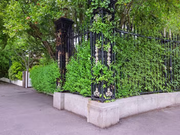 STORMONT ESTATE MAY 2025 The Stormont Estate, located on the outskirts of Belfast, is a significant public parkland renowned for its beautiful...