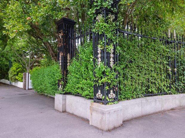 STORMONT ESTATE MAY 2025 The Stormont Estate, located on the outskirts of Belfast, is a significant public parkland renowned for its beautiful...