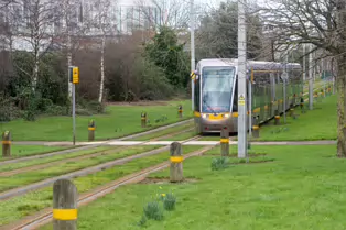 EXPLORING A UNIQUE SECTION OF THE LUAS RED LINE [THE GRASS SECTION BETWEEN THE SUIR ROAD STOP AND THE RIALTO STOP]-247778-1