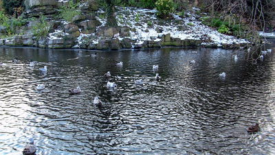 THE GROUND WAS COVERED IN SNOW WHEN I VISITED ST STEPHEN'S GREEN IN NOVEMBER 27 2010 [LEGACY PHOTO COLLECTIONS]-244846-1