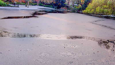 THE GROUND WAS COVERED IN SNOW WHEN I VISITED ST STEPHEN'S GREEN IN NOVEMBER 27 2010 [LEGACY PHOTO COLLECTIONS]-244851-1