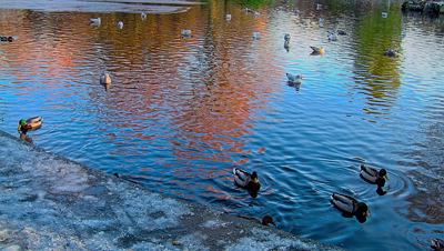 THE GROUND WAS COVERED IN SNOW WHEN I VISITED ST STEPHEN'S GREEN IN NOVEMBER 27 2010 [LEGACY PHOTO COLLECTIONS]-244854-1