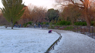 THE GROUND WAS COVERED IN SNOW WHEN I VISITED ST STEPHEN'S GREEN IN NOVEMBER 27 2010 [LEGACY PHOTO COLLECTIONS]-244886-1