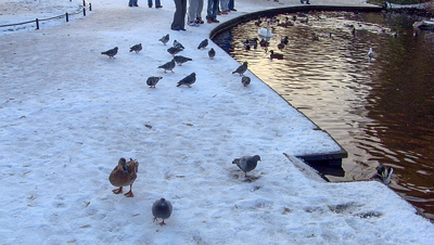 THE GROUND WAS COVERED IN SNOW WHEN I VISITED ST STEPHEN'S GREEN IN NOVEMBER 27 2010 [LEGACY PHOTO COLLECTIONS]-244889-1