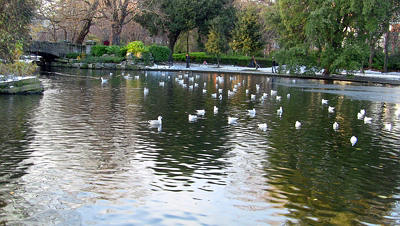 THE GROUND WAS COVERED IN SNOW WHEN I VISITED ST STEPHEN'S GREEN IN NOVEMBER 27 2010 [LEGACY PHOTO COLLECTIONS]-244890-1