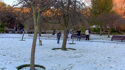 THE GROUND WAS COVERED IN SNOW WHEN I VISITED ST STEPHEN'S GREEN IN NOVEMBER 27 2010 [LEGACY PHOTO COLLECTIONS]-244895-1