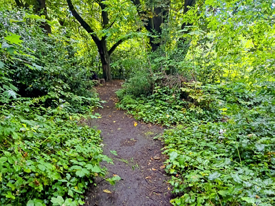 IVEAGH GARDENS [ONCE PRIVATELY OWNED BUT NOW OPEN TO THE PUBLIC]-244021-1