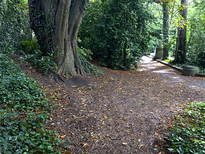 IVEAGH GARDENS [ONCE PRIVATELY OWNED BUT NOW OPEN TO THE PUBLIC]-244022-1