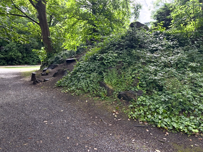 IVEAGH GARDENS [ONCE PRIVATELY OWNED BUT NOW OPEN TO THE PUBLIC]-244024-1