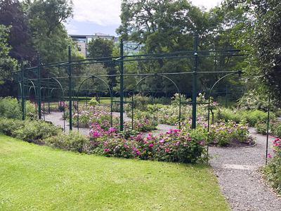 IVEAGH GARDENS [ONCE PRIVATELY OWNED BUT NOW OPEN TO THE PUBLIC]-244027-1