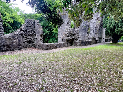 MAYNOOTH CASTLE [I WAS NOT ALLOWED TO USE MY CAMERA BUT MY iPHONE WAS OK]-243866-1