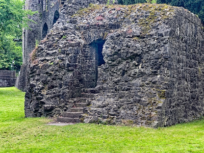 MAYNOOTH CASTLE [I WAS NOT ALLOWED TO USE MY CAMERA BUT MY iPHONE WAS OK]-243875-1