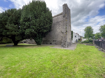 MAYNOOTH CASTLE [I WAS NOT ALLOWED TO USE MY CAMERA BUT MY iPHONE WAS OK]-243889-1