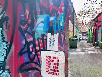 THE RISE AND FALL OF THE ICON FACTORY [DUBLIN STREET ART]-246209-1