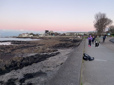 EXPLORING SANDYCOVE AVENUE AND NEARBY [1 JANUARY 2025]-246131-1