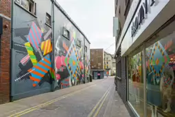 MURAL ON LITTLE WILLIAM STREET OR BROWN THOMAS LANE [BY ASKEW ONE AND MASER]-244560-1