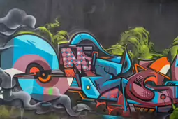 STREET ART INCLUDING THE SLEEPING PATTERNS MURALS [THE CAHILL MAY ROBERTS SITE JUNE 2016]-244472-1