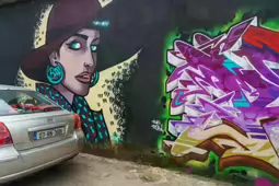 STREET ART INCLUDING THE SLEEPING PATTERNS MURALS [THE CAHILL MAY ROBERTS SITE JUNE 2016]-244473-1