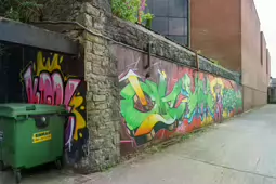 STREET ART INCLUDING THE SLEEPING PATTERNS MURALS [THE CAHILL MAY ROBERTS SITE JUNE 2016]-244475-1