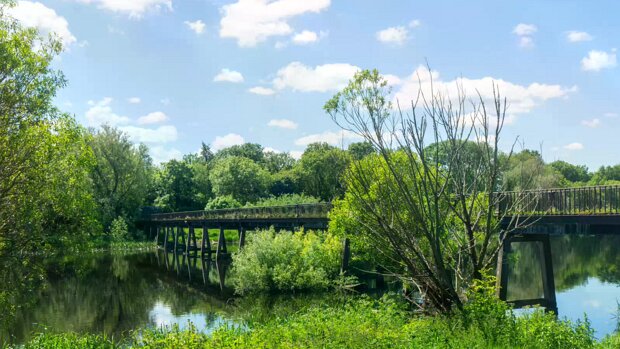 BLACK BRIDGE The Black Bridge at Plassey, a historic landmark spanning the River Shannon, has a story marked by both grandeur and...