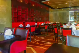THE JASMINE PALACE RESTAURANT IN LIMERICK [INTRODUCED SERVING ROBOTS A FEW YEARS LATER]-233556-1