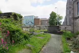 PHOTOGRAPHS OF ST JOHNS CHURCHYARD [THE HISTORIC CHURCHYARD IN LIMERICK AS IT WAS IN 2015]-233572-1