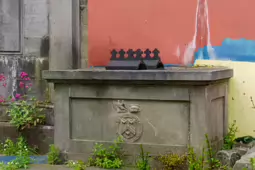 PHOTOGRAPHS OF ST JOHNS CHURCHYARD [THE HISTORIC CHURCHYARD IN LIMERICK AS IT WAS IN 2015]-233574-1