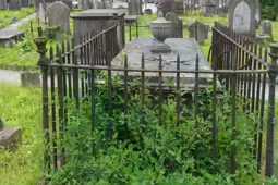 PHOTOGRAPHS OF ST JOHNS CHURCHYARD [THE HISTORIC CHURCHYARD IN LIMERICK AS IT WAS IN 2015]-233584-1