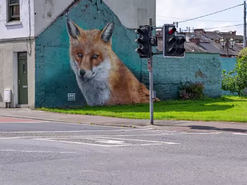 FOX MURAL BY OHHI OHNO The mural is a significant contribution to the "Wildlife Walls" initiative, an urban art project designed to celebrate...