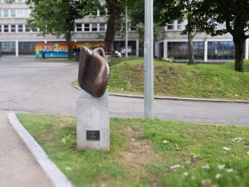 WAVE FORM SCULPTURE 2025 In collaboration with the Flavin family, Limerick City and County Council initiated a meticulous art restoration...
